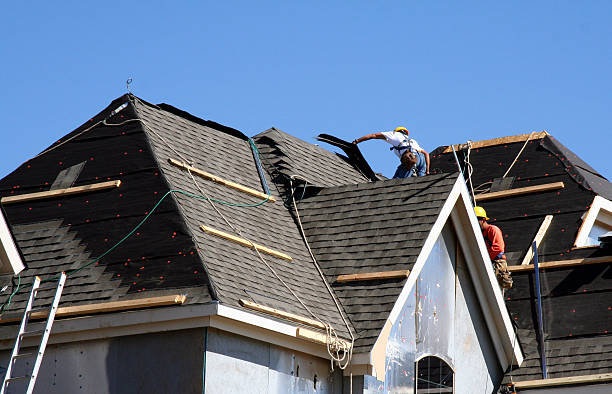 Best Roof Gutter Cleaning  in Mansfield, AR