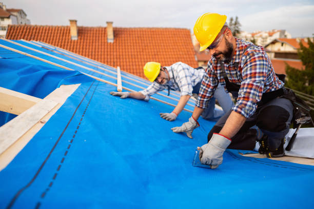 Best Roof Gutter Cleaning  in Mansfield, AR